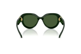 Achteraanzicht Swarovski SK6037 (102671)