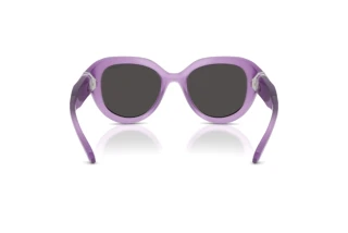 Achteraanzicht Swarovski SK6037 (107587)