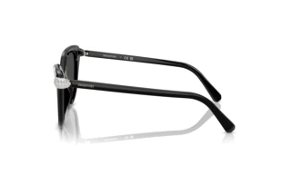 Zijaanzicht Swarovski SK6039 (100187)