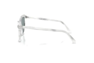 Zijaanzicht Swarovski SK6039 (1042/1)