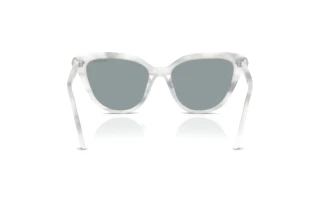 Achteraanzicht Swarovski SK6039 (1042/1)