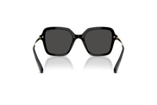 Achteraanzicht Swarovski SK6040 (100187)