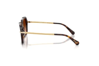 Zijaanzicht Swarovski SK6040 (100274)