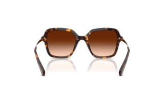 Achteraanzicht Swarovski SK6040 (100274)
