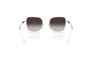 Achteraanzicht Swarovski SK6040 (10278G)