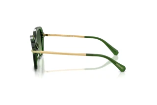 Zijaanzicht Swarovski SK6040 (10812A)