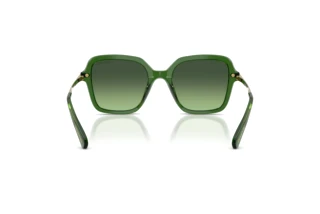 Achteraanzicht Swarovski SK6040 (10812A)