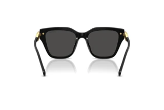 Achteraanzicht Swarovski SK6041 (100187)
