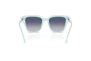 Achteraanzicht Swarovski SK6041 (10244L)