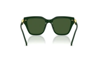Achteraanzicht Swarovski SK6041 (102671)