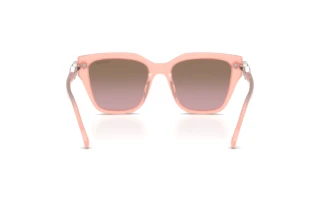 Achteraanzicht Swarovski SK6041 (104114)