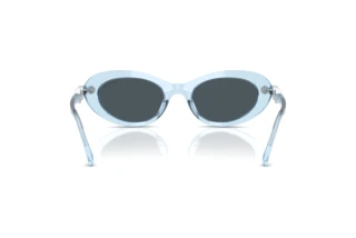 Achteraanzicht Swarovski SK6042 (107887)