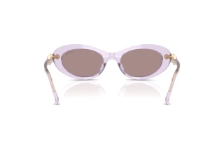 Achteraanzicht Swarovski SK6042 (1079LA)