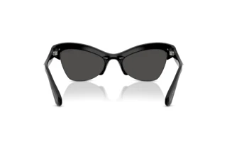 Achteraanzicht Swarovski SK6043 (100187)