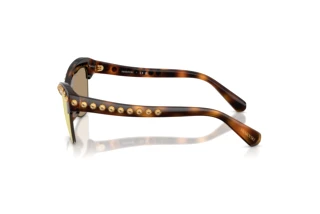 Zijaanzicht Swarovski SK6043 (100271)