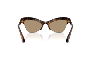 Achteraanzicht Swarovski SK6043 (100271)
