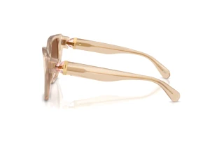 Zijaanzicht Swarovski SK6044U (103413)