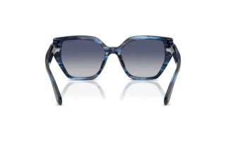 Achteraanzicht Swarovski SK6044U (10904L)