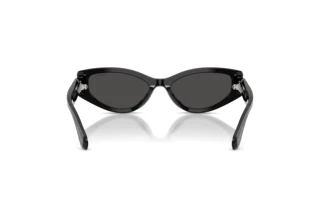 Achteraanzicht Swarovski SK6045U (100187)