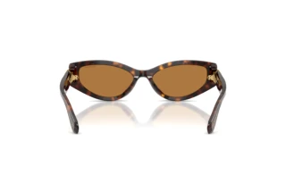 Achteraanzicht Swarovski SK6045U (100273)