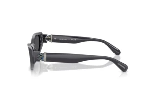 Zijaanzicht Swarovski SK6045U (10836G)