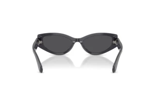 Achteraanzicht Swarovski SK6045U (10836G)