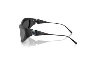 Zijaanzicht Swarovski SK6046 (10206G)