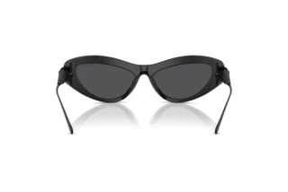 Achteraanzicht Swarovski SK6046 (10206G)