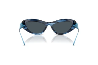 Achteraanzicht Swarovski SK6046 (109087)