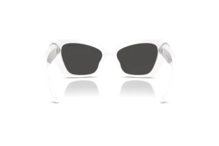 Achteraanzicht Swarovski SK6047 (105087)