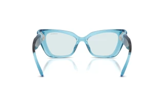 Achteraanzicht Swarovski SK6047 (107872)