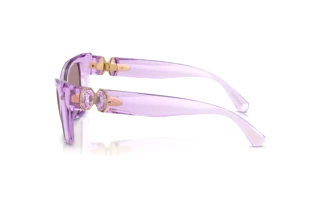 Zijaanzicht Swarovski SK6047 (1079LA)