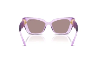 Achteraanzicht Swarovski SK6047 (1079LA)
