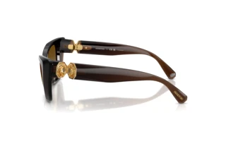 Zijaanzicht Swarovski SK6047 (1084T5)