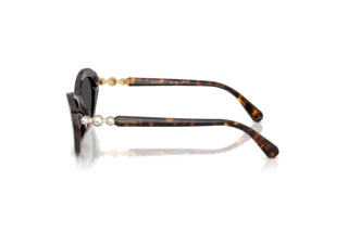 Zijaanzicht Swarovski SK6048 (100287)