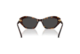 Achteraanzicht Swarovski SK6048 (100287)