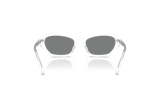 Achteraanzicht Swarovski SK6048 (102787)