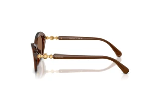 Zijaanzicht Swarovski SK6048 (108473)