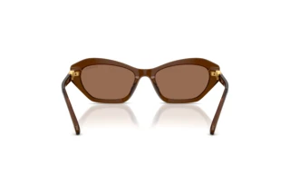 Achteraanzicht Swarovski SK6048 (108473)