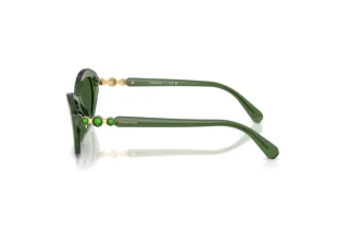 Zijaanzicht Swarovski SK6048 (108571)