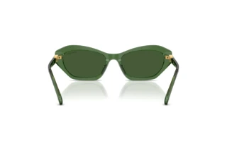 Achteraanzicht Swarovski SK6048 (108571)