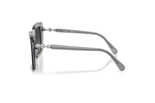 Zijaanzicht Swarovski SK6049 (106211)