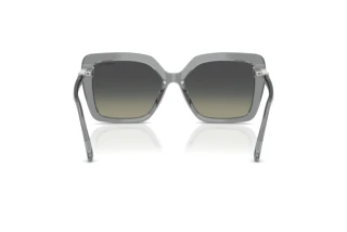 Achteraanzicht Swarovski SK6049 (106211)