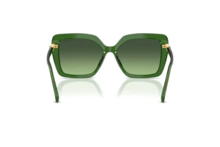 Achteraanzicht Swarovski SK6049 (10812A)