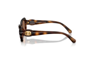 Zijaanzicht Swarovski SK6050 (100273)