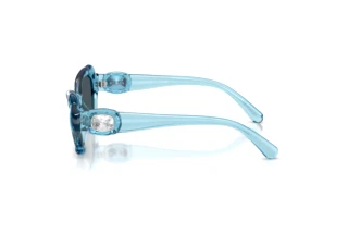 Zijaanzicht Swarovski SK6050 (107887)