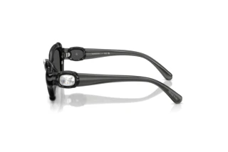 Zijaanzicht Swarovski SK6050 (108787)