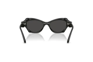 Achteraanzicht Swarovski SK6050 (108787)