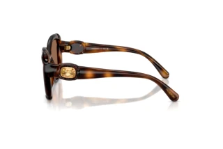 Zijaanzicht Swarovski SK6051U (100273)
