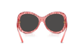 Achteraanzicht Swarovski SK6052 (108887)